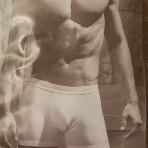 Marc anthony boxer briefs